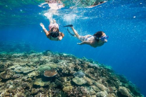 Snorkeling à Nha Trang